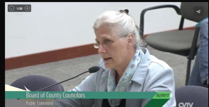Carol Levanen thinks there's something fishing going on with how the county spends federal funds. 
