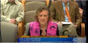 Sen. Lynda Wilson, R-Vancouver, speaking about her bill to allow hunters to wear pink.