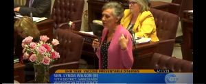 Sen. Lynda Wilson speaking on the Senate floor 