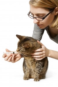 Giving Medicine to Your Cat