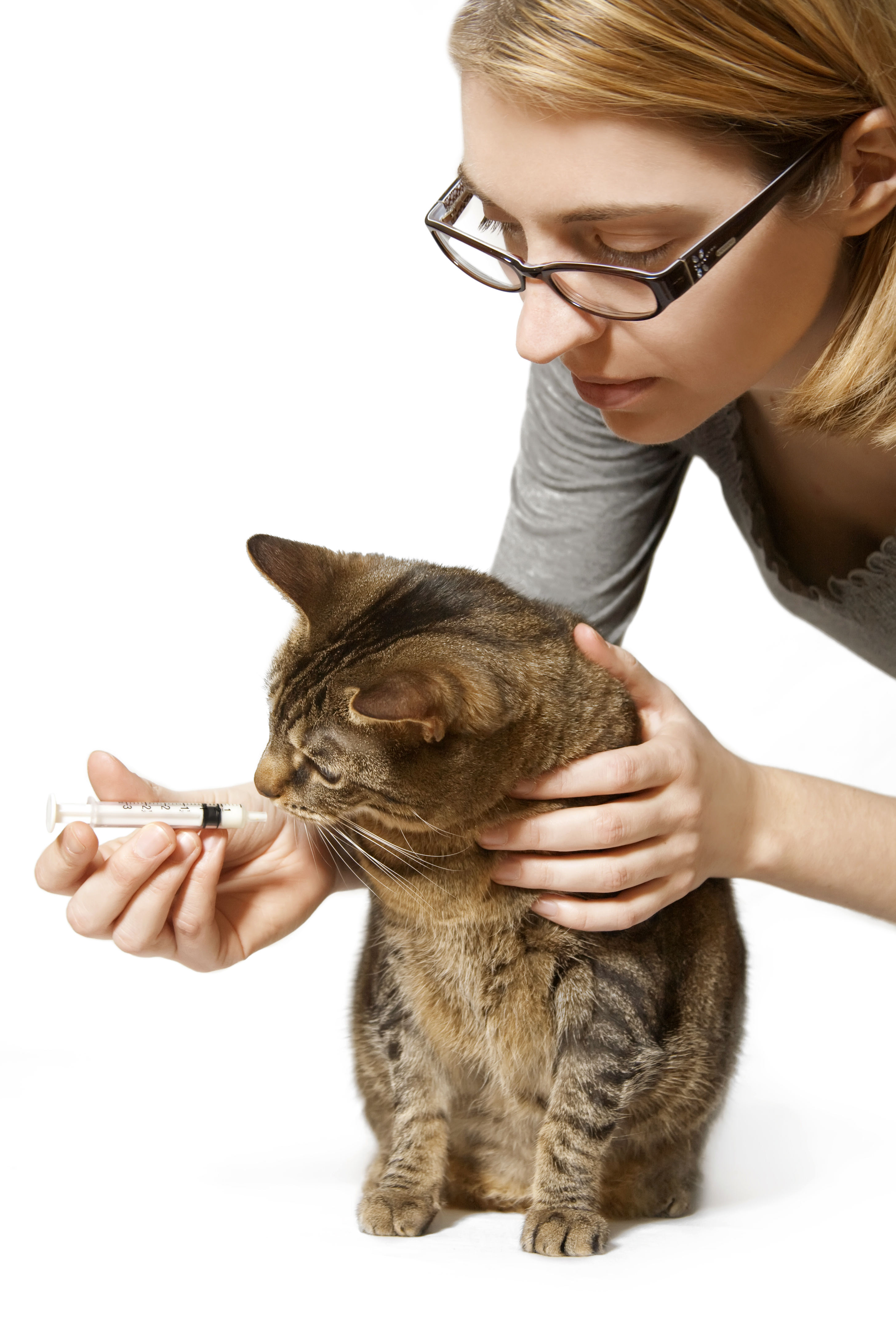 Giving Medicine to Your Cat Doesn't Have to be a Pain! Cat Tales