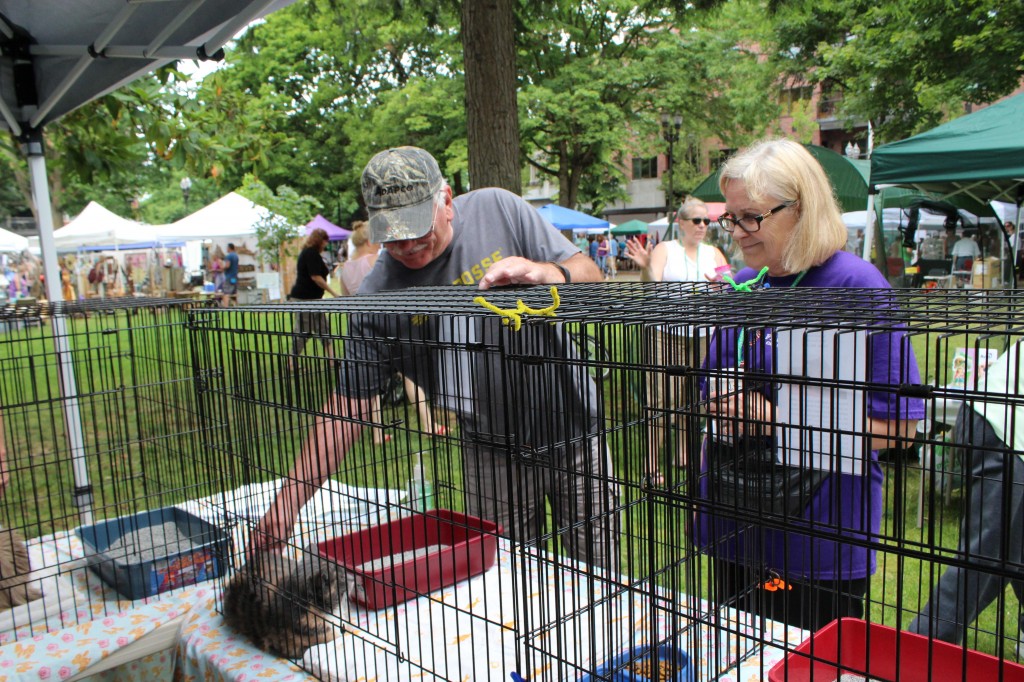 Furry Friends will have their recycled cats available for adoption at the Recycled Arts Fair held at Esther Short Park June 25-26, 2016.
