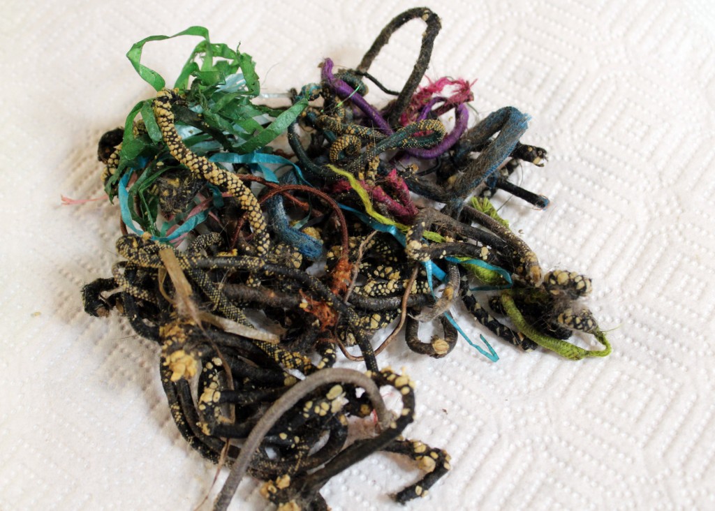 This pile of shoe laces, hair rubber bands and more measures about 5" across and is the size of your fist. This was surgically removed from a cat's stomach. Left untreated a cat can die from the obstruction.