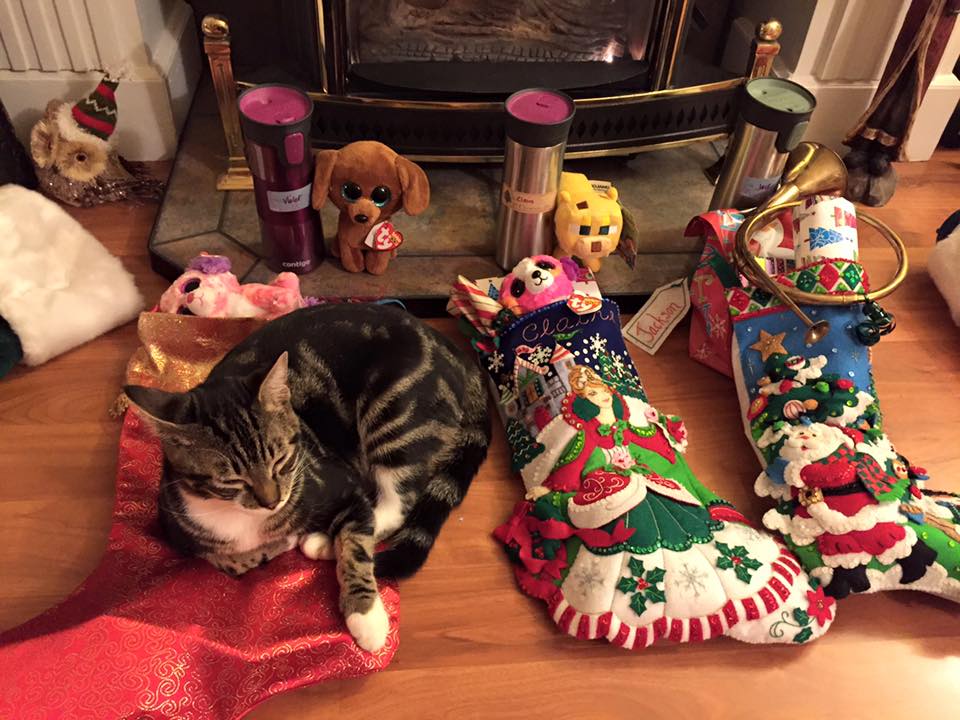Smokey is eagerly awaiting to open his Christmas presents.  Photo by Sandra Baumgarden.
