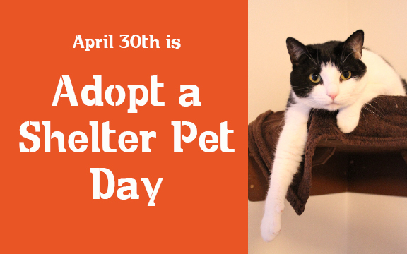 Adopt a shelter pet -April 30