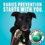 Rabies-prevention-starts-with-you-World-Rabies-Day-september-28-black-dog-picture