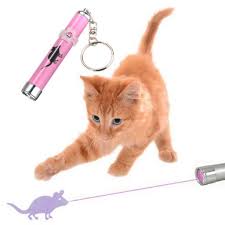 cats laser pointer stairs clipart