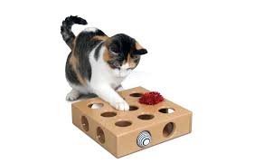 Cat puzzle toy