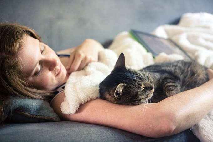 Why Kitty Loves Sleeping On Top Of You Cat Tales