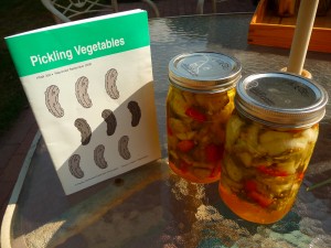 Sliced pickles with fresh garden cucumbers