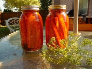 Speared pickled carrots with garden fresh carrots