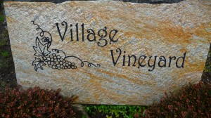 Welcome Village Vineyard...the new kid in town.