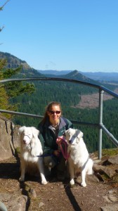 Challenge and Baby Girl on their first hike with us - Beacon Rock. FYI: A mostly scaffolding hike is not the best idea with sight-impaired dogs 