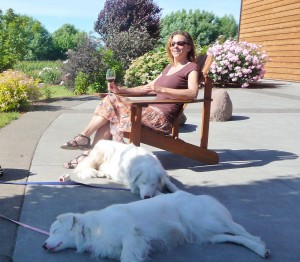In case anyone was wondering, yes, we do let them rest. Baby Girl and Challenge enjoying some R&R at Mt Hood Vineyards in June. 