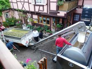 Staying at Domaine Martin Jund in the fall allows travelers to witness crush in the courtyard of this working winery in the heart of historic Colmar along the Alsatian wine route.