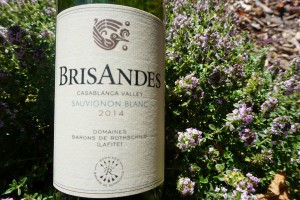 Brisandes, Casablanca Valley – 2014 Sauvignon Blanc - is an excellent value from Chile giving off more citrus than tropical notes. Viki Eierdam 