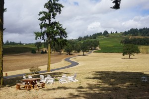 At Stoller Family Estate south-facing slopes are covered in 195 acres of vines with clumps of oak trees where a turkey farm once stood. Viki Eierdam 