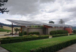 A network of rooftop solar panels is just one of the many features that garnered Dundee Hill’s Stoller Family Estate its LEED gold certification. Viki Eierdam 