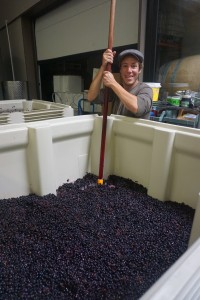 Working with Division Winemaking Company since its inception, French native, Aurelian, is seen here punching down grapes on the production floor at Southeast Wine Collective in Portland, Ore. Viki Eierdam