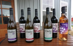 Visitors will be able to sip through Dolio Winery’s Columbia Valley line-up of 2013 Pinot Grigio, Sauvignon Blanc, Grüner Veltliner, Dolcetto, Barbera, and Sangiovese during the Southwest Washington Wine Country Thanksgiving Weekend tour. Viki Eierdam  