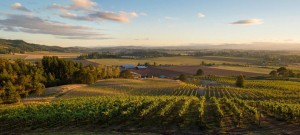•Willamette Valley Wine Country Thanksgiving encompasses seven AVAs. Pick and choose from over 160 participating wineries. Tasting fees vary. Photo courtesy of Keeler Estate Vineyard. 