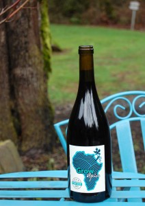 Every purchase of 2013 Grow Africa Pinot Noir supports the work of Grow International in West Africa. Grow International