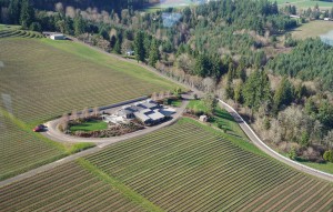 A seat on Tour DeVine guarantees stunning photo ops like this approach to Hawks View Cellars. Viki Eierdam 