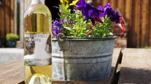 Yacolt’s Moulton Falls Winery pours a crisp, off-dry chenin blanc made from Columbia Valley grapes and named after their golden retriever/great pyrenees mix, Jake. Viki Eierdam