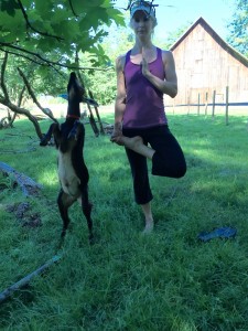 Pomeroy Cellars' winery goat, George, is almost as crazy about yoga as operations manager, Destiny Fuller. Pomeroy Cellars