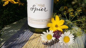 At $9.50 a bottle, this Spier Sauvignon Blanc is a pretty little number. Viki Eierdam 