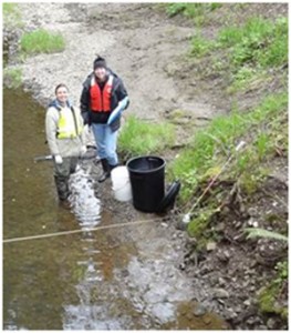 Gee Creek Water Samples