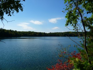 Walden Pond in Concord, Mass