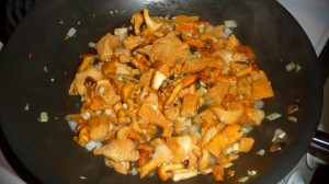 Foraged chanterelles cooking on the stove