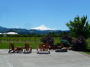 The view from Mt Hood Winery