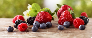 1.0_OurBerries_header_01