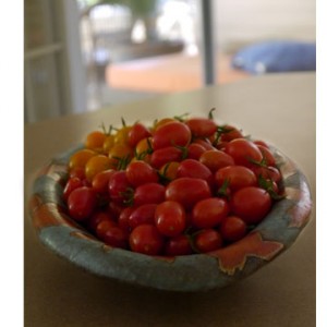 bowl-of-tomatoes