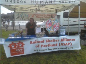 Volunteering at the booth for the Animal Shelter Alliance of Portland.
