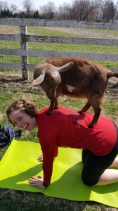 Sarah Goat Yoga