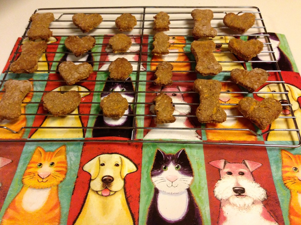 dog treats