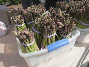 A sign of spring -- fresh purple asparagus.