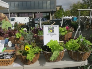 Salad baskets