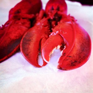 lobster claw eff