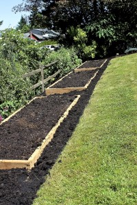 raised beds new