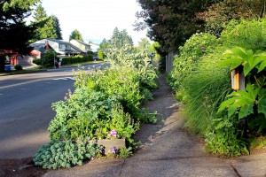 victory garden July 7