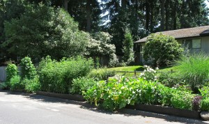 victory garden grown in