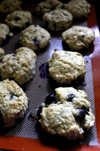 blueberryscone2