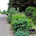 victory garden front