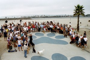 Sand and sea: the original Dog Beach