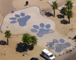 Sand and sea: the original Dog Beach