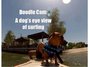 HANG 10 (or is it 20?) WITH A LOCAL SURF DOG – FOR A DOG’S EYE VIEW